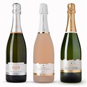 MIX SPUMANTI QUALITA' 6 BTG X 0.75 LT