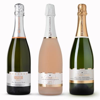 MIX SPUMANTI QUALITA' 6 BTG X 0.75 LT