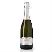 BOTT. 750 ML V.S.Q. BRUT MET.CHARMAT SOLECCIO